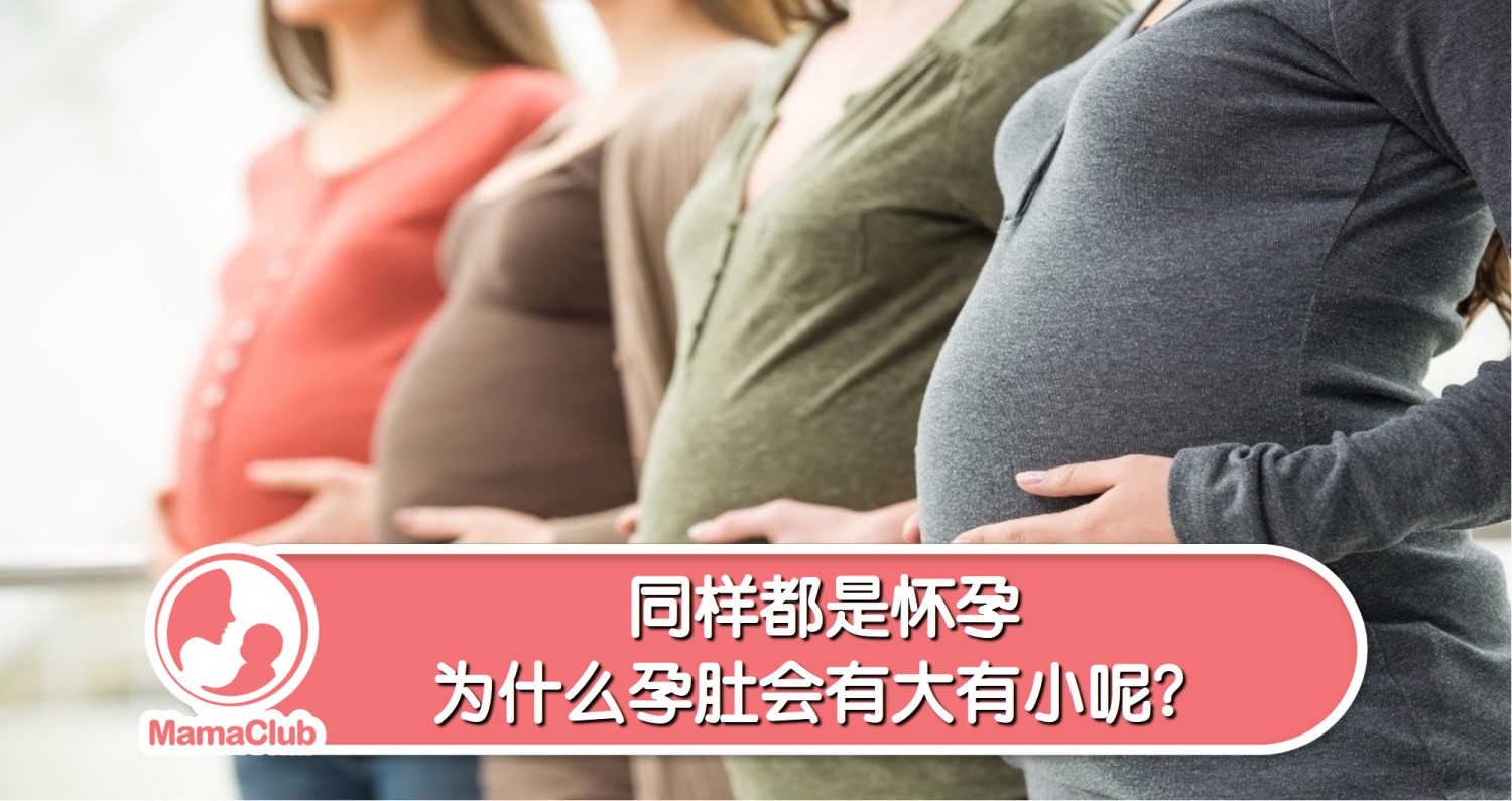 孕五个月的肚子大小图对比（怀孕五个月肚子大小的标准，你符合吗？胎儿已经发育到什么样子了） | 说明书网