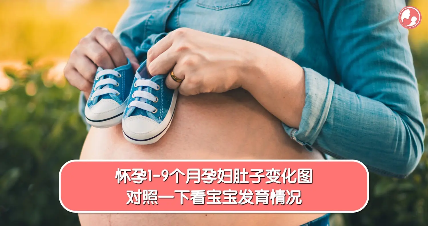 【胎儿发育】怀孕1-9个月孕妇肚子变化图，对照一下看宝宝发育情况 -MamaClub